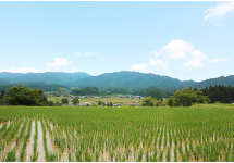 日本一の農村景観